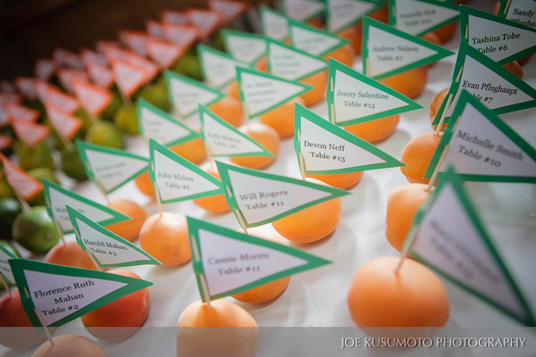 picture of escort cards