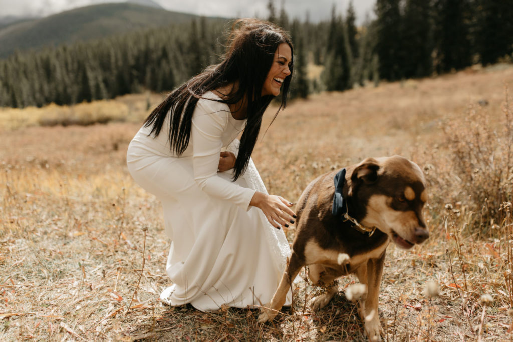 picture of a bride and dog